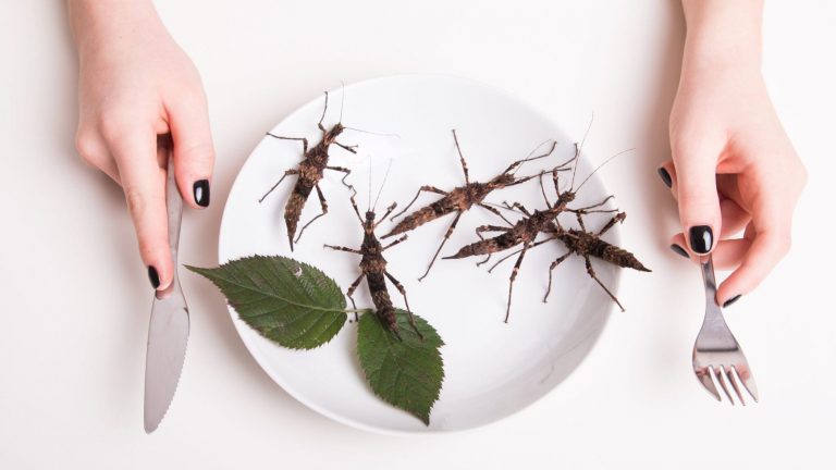 Why we aren’t eating (more) insects