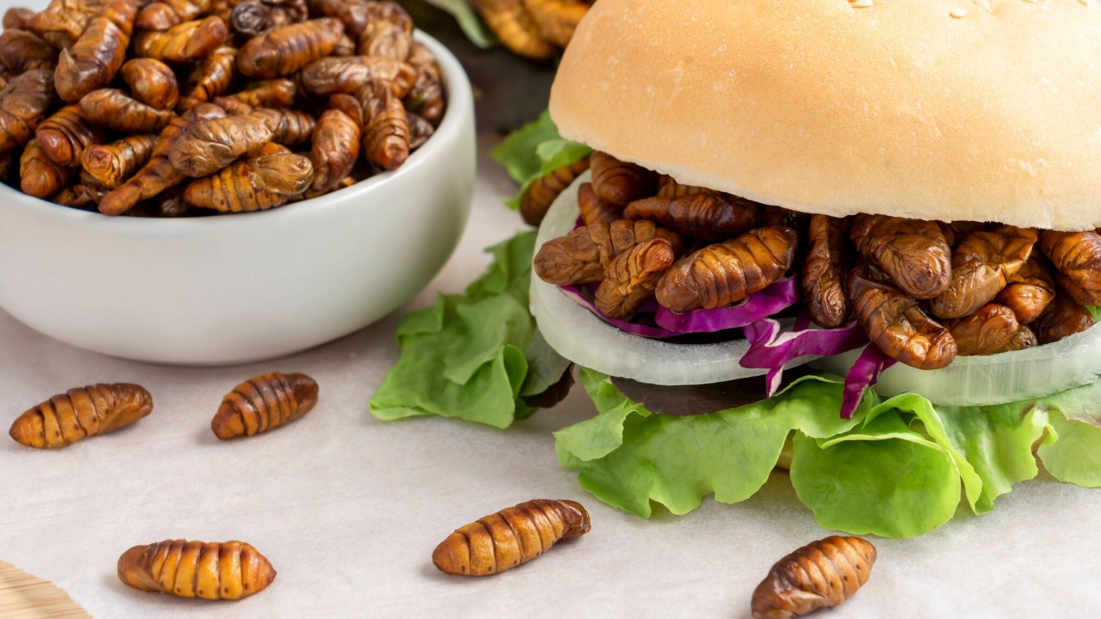 Why aren’t we eating (more) insect protein featured Image