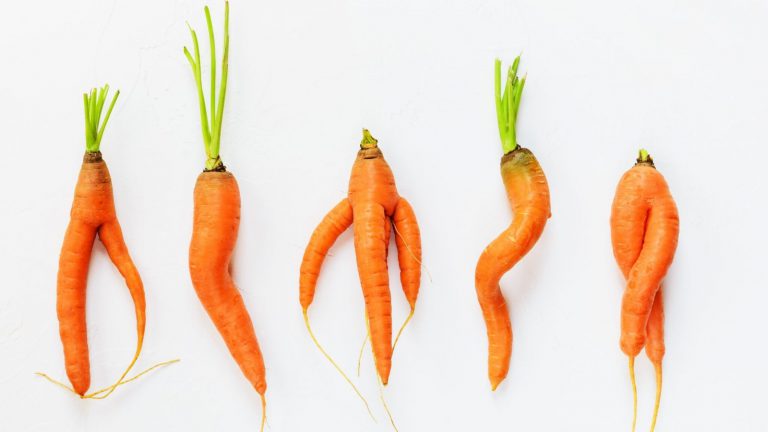 Why I love wonky carrots