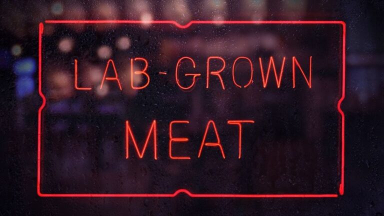 Why should we eat lab-grown meat?￼