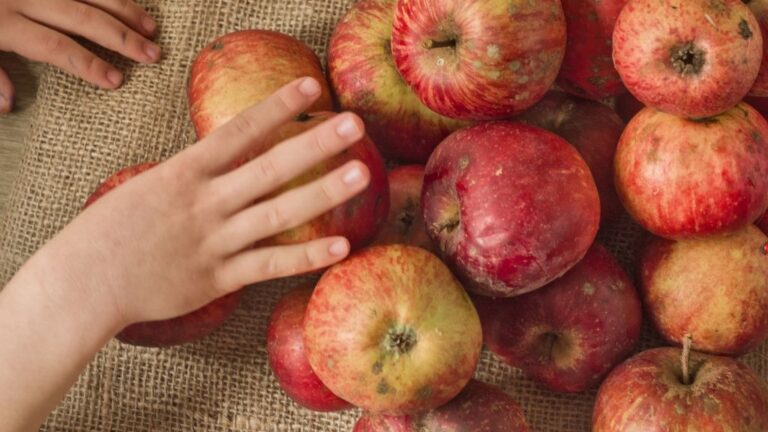 Children’s hands reaching for a pile of apples, symbolising everyday food and who gets access to it in a changing climate