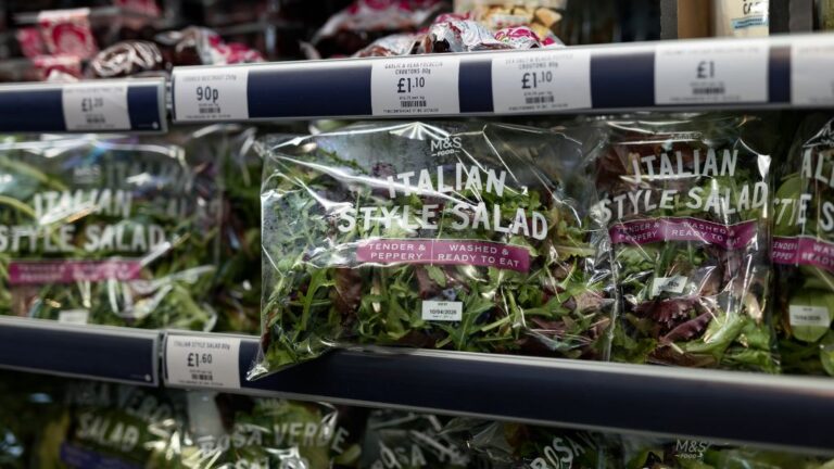 pre-packed salad leaves on UK supermarket shelves